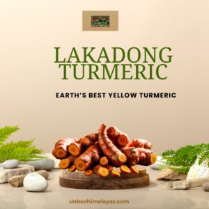 Haldi Lakadong Turmeric Powder (Pure & Organic) 200Gm