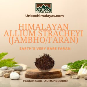 Himalayan Jambho Faran