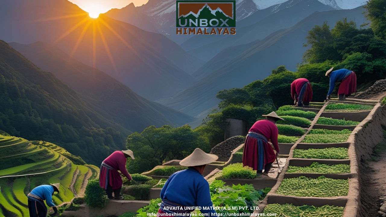 1c1808c6-2af7-41c1-a5ad-f1f5ba2441ad