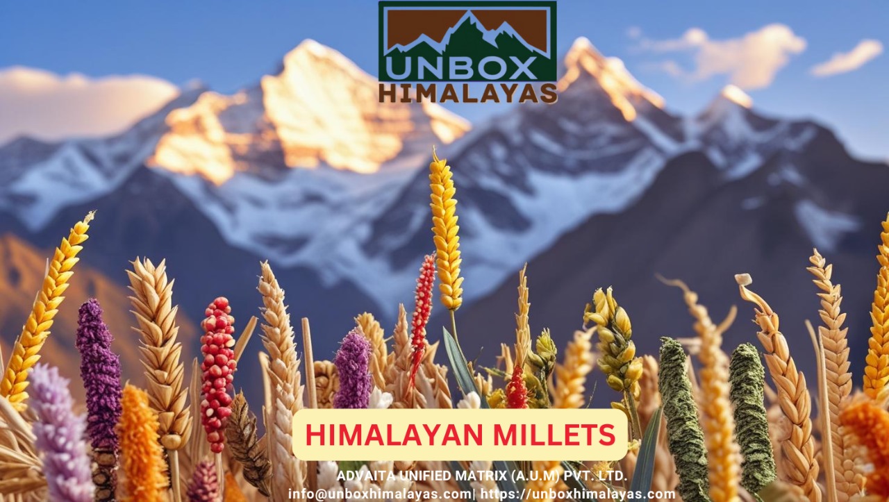 5f6c5535-2982-4c90-a3a8-667b04a36add