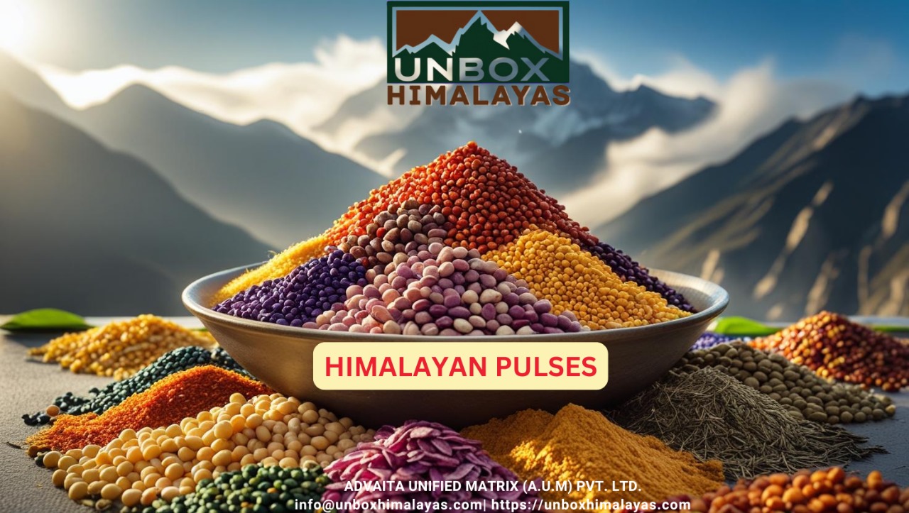 b6bd8541-7dfe-4eb0-99d7-bf9dcbc4ed16