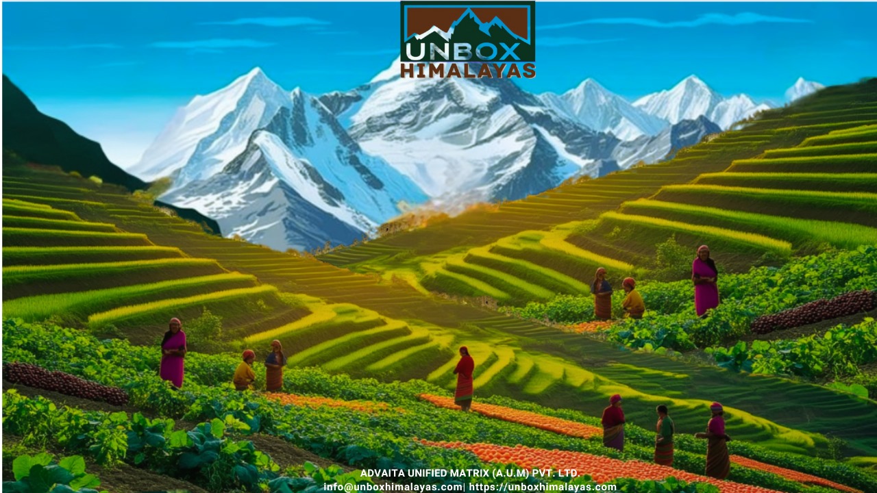 f5554f8b-a89c-4b1d-8bba-7632757624b2